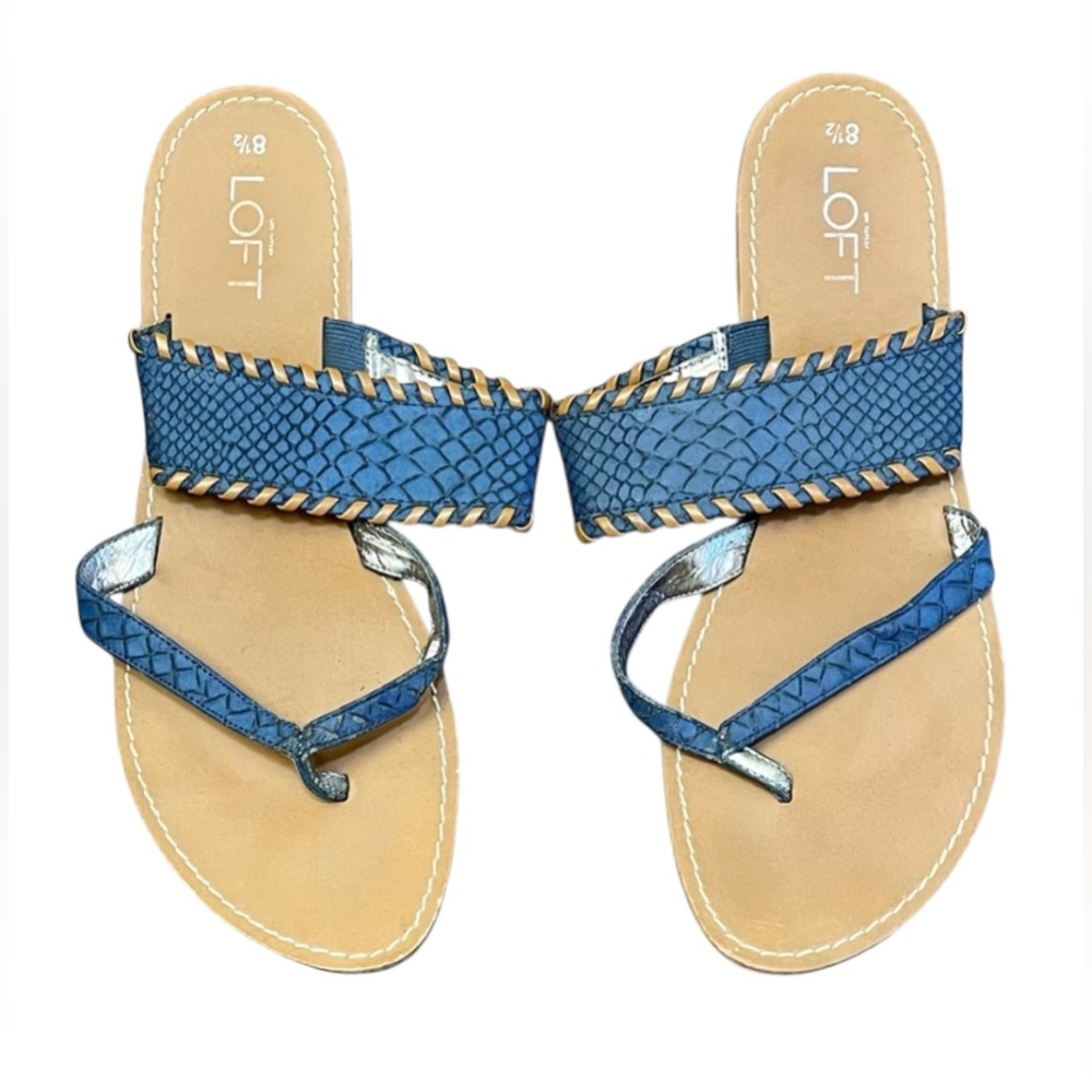 Ann Taylor Loft Flats